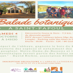 APRÈS MIDI AU JARDIN: BALADE BOTANIQUE AVEC ECODIV