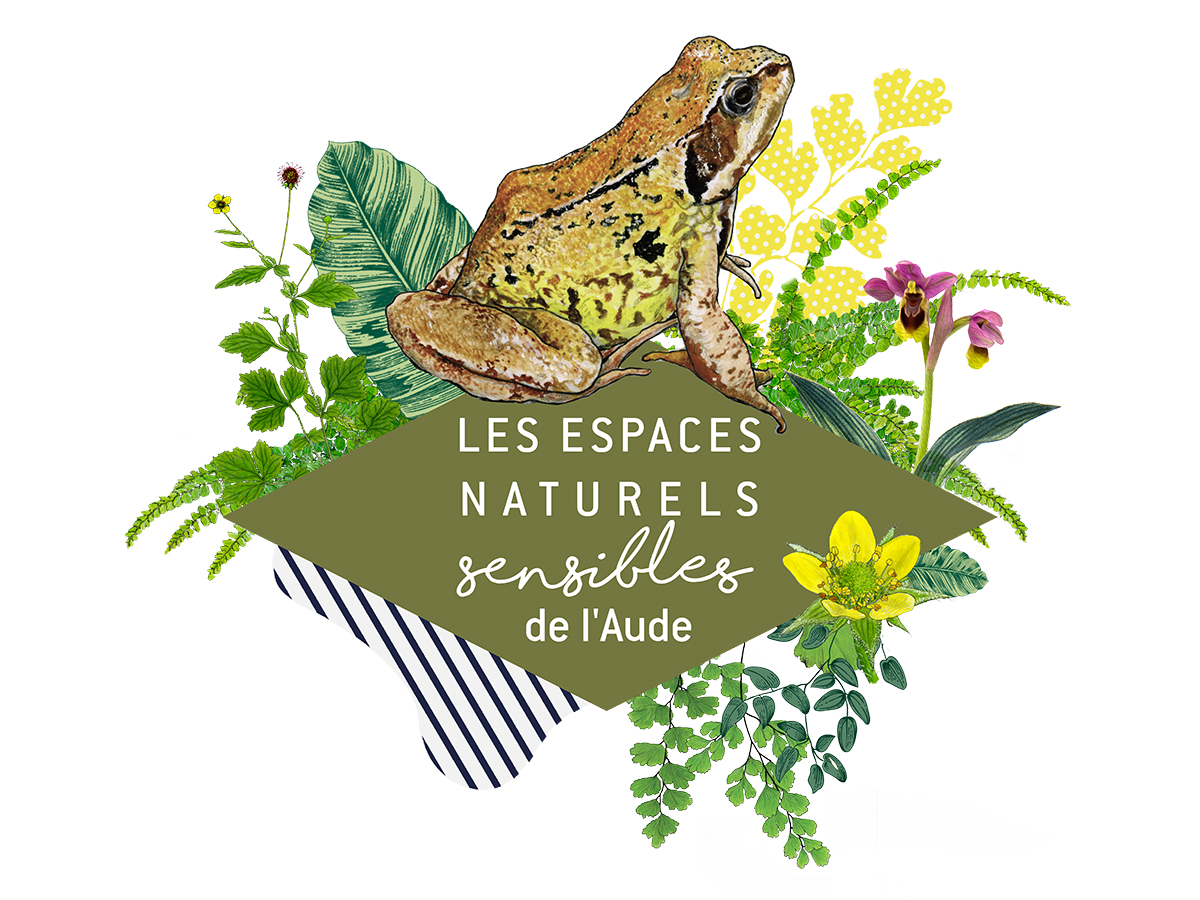 ENS - UN AIR DE BOCAGE SUR LES FLANCS DE LA MONTAGNE NOIRE