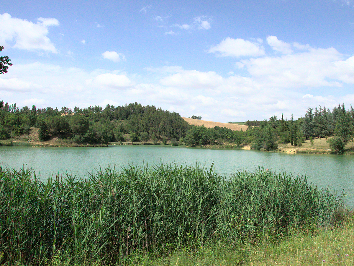 BALADE BIEN ÊTRE - LAC DE REGAMBERT