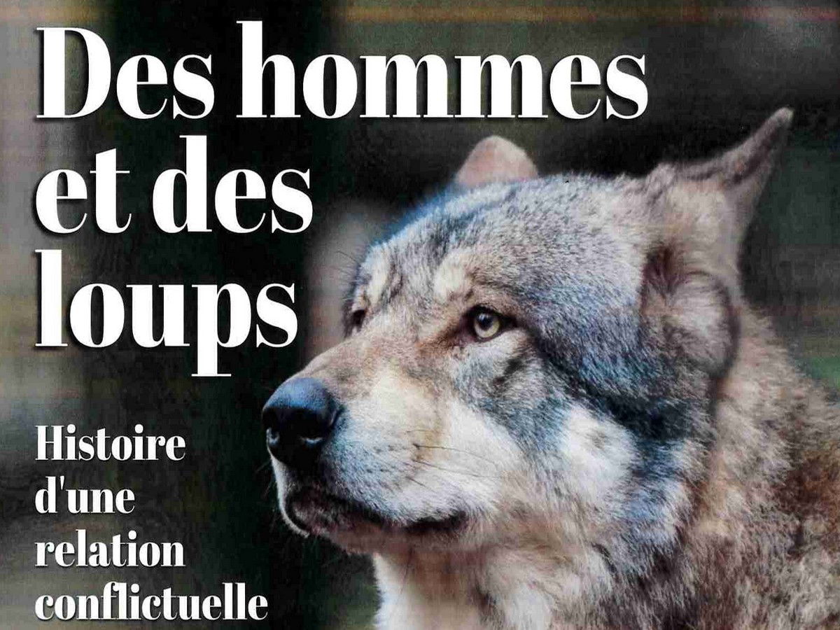 DES HOMMES ET DES LOUPS : HISTOIRE D'UNE RELATION CONFLICTUELLE
