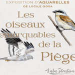 EXPOSITION D'AQUARELLES LES OISEAUX REMARQUABLES DE LA PIÈGE