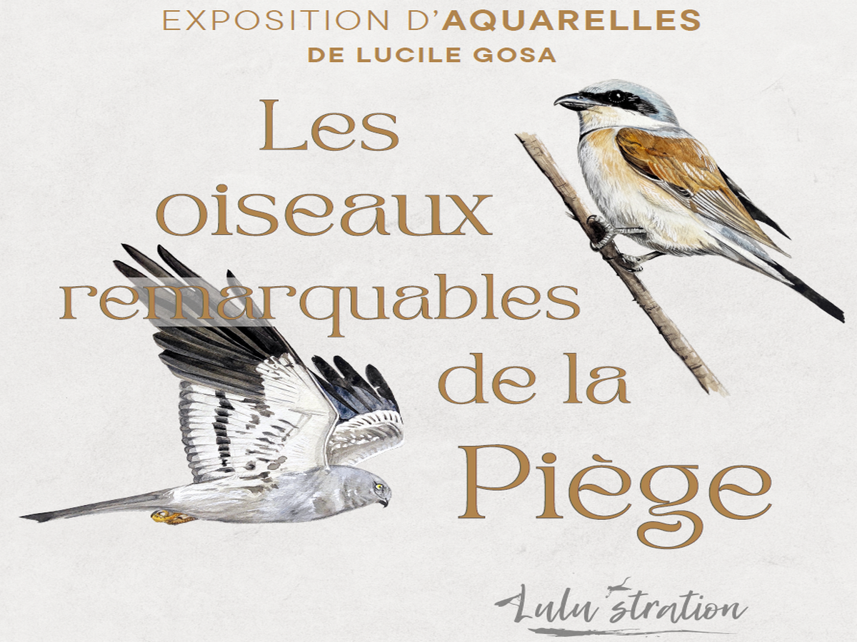EXPOSITION D'AQUARELLES LES OISEAUX REMARQUABLES DE LA PIÈGE