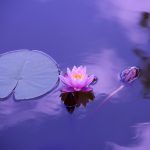 ATELIER MÉNOPAUSE ET PRÉMÉNOPAUSE